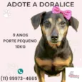Doralice