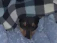 Théo