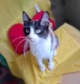 Vicky