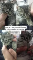 Sem nome