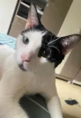 Jack