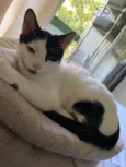 Jack
