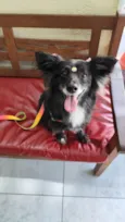 Rubi