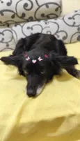 Rubi