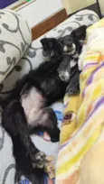 Rubi