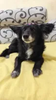 Rubi