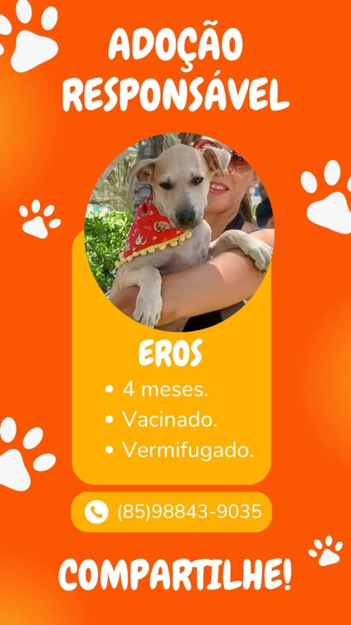 Cachorro ra a SRD-ViraLata idade 2 a 6 meses nome Eros