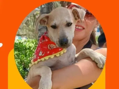 Cachorro raça SRD-ViraLata idade 2 a 6 meses nome Eros