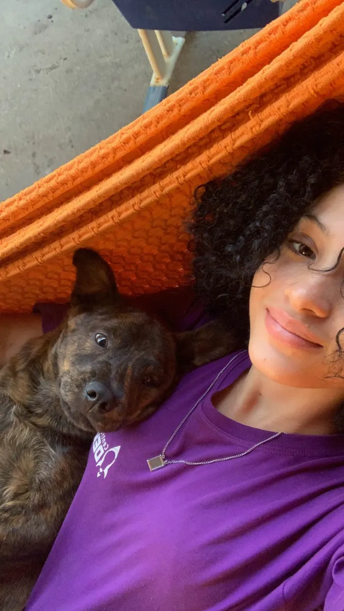 Cachorro ra a SRD-ViraLata idade 7 a 11 meses nome Akira