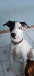 Zatar
