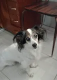 NINA