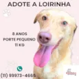 Loirinha