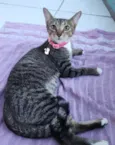 Manu