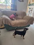 Lucky