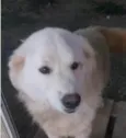 Sancara