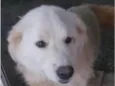 Sancara