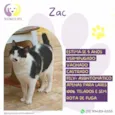 Zac