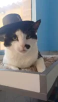 Zac