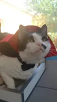 Zac