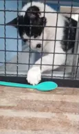 Zac