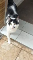 Zac