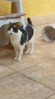 Zac