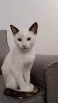Lua