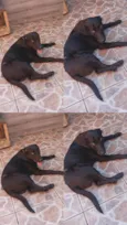 Zeus