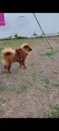 Meg