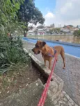 Scooby