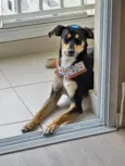 Baby