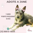 Jane