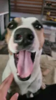 Happy