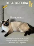 Branquinha