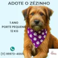 Zézinho