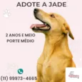 Jade