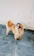 Marley