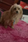 Marley