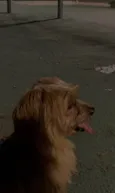 Marley