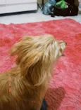 Marley
