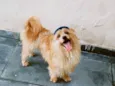 Marley