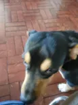 Chico