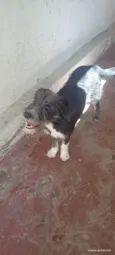 Zoe