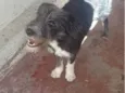 Zoe