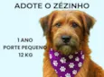 Zézinho 