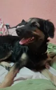 Luna