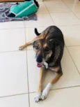 Lua