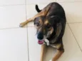 Lua