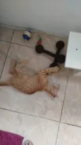 Robert