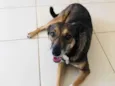 Lua